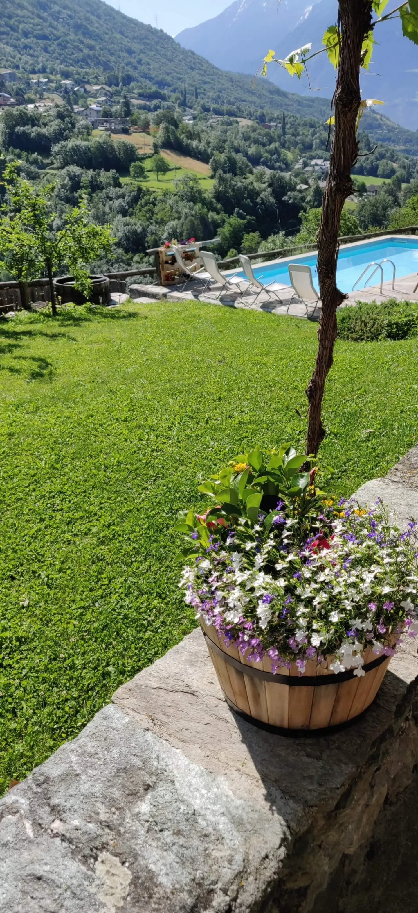 piscina e giardino