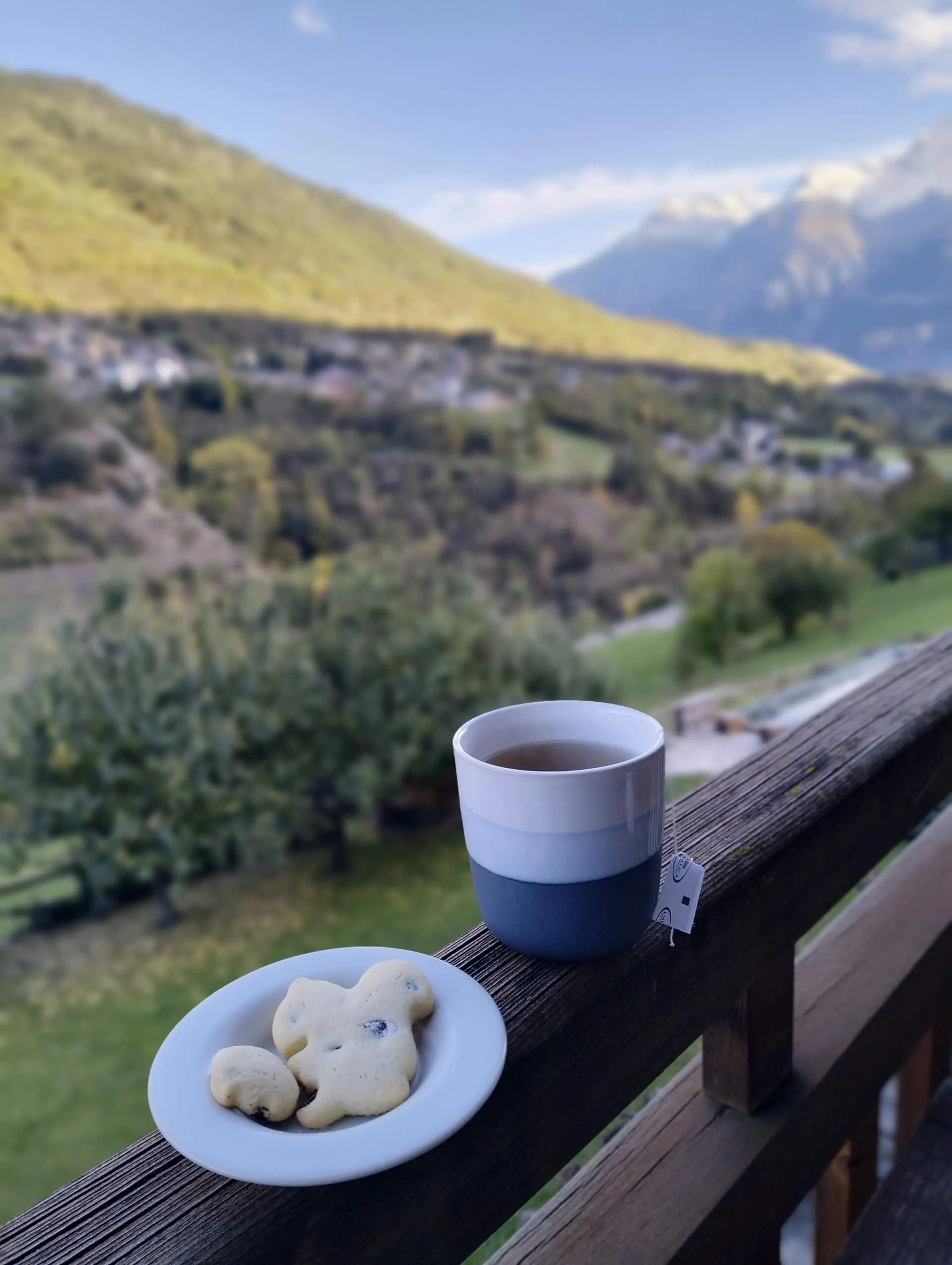 cavallo balcone