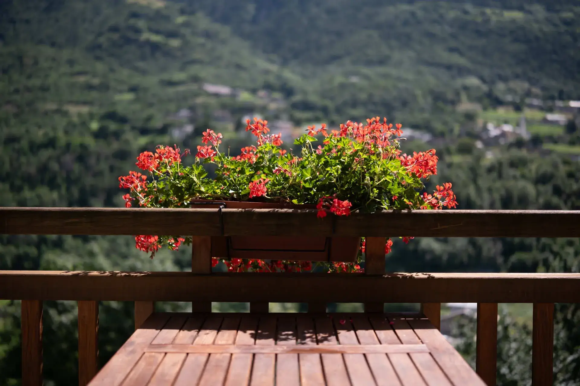 monolocale-cavallo-esterno.webp
