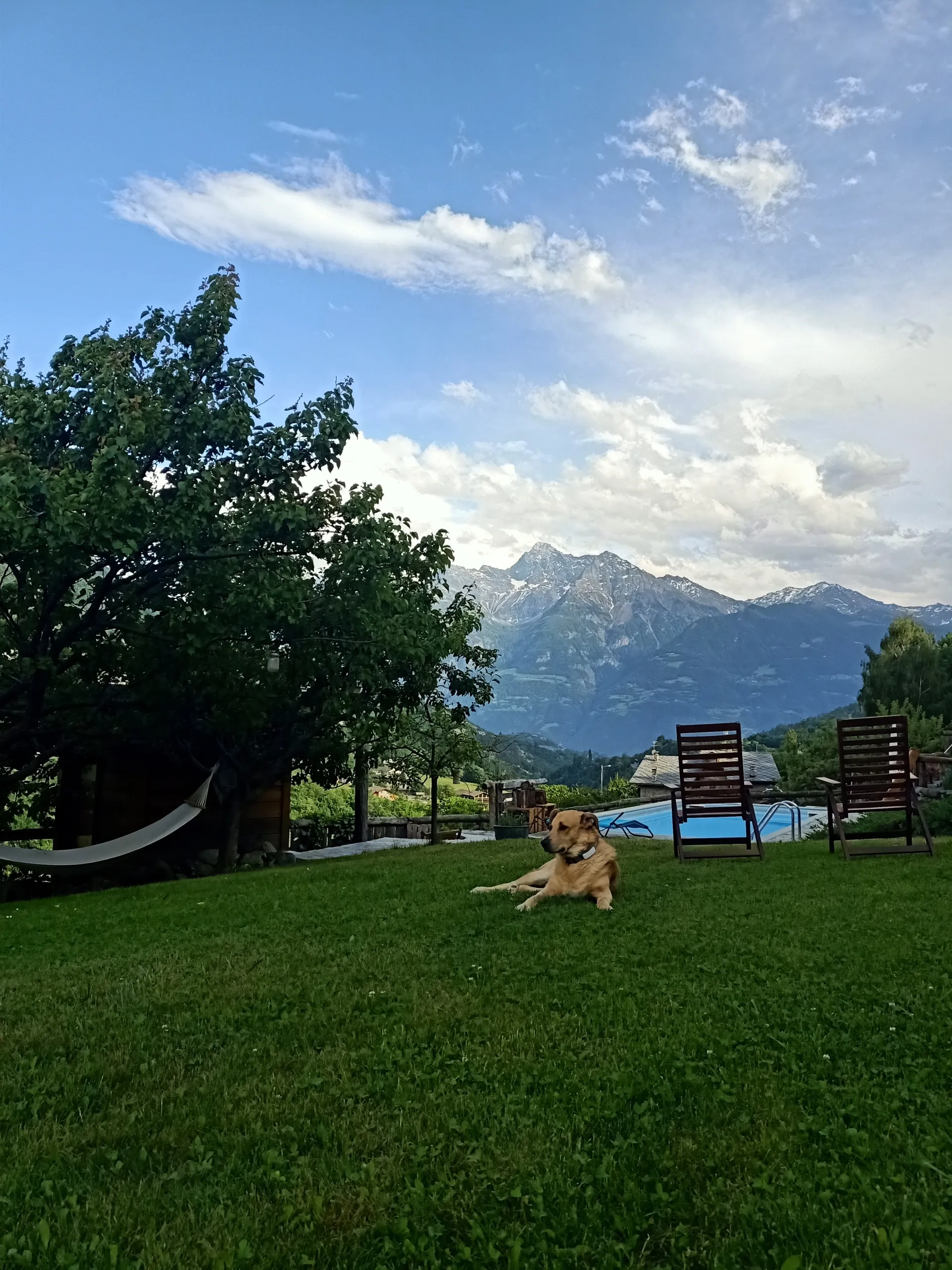berlino prato