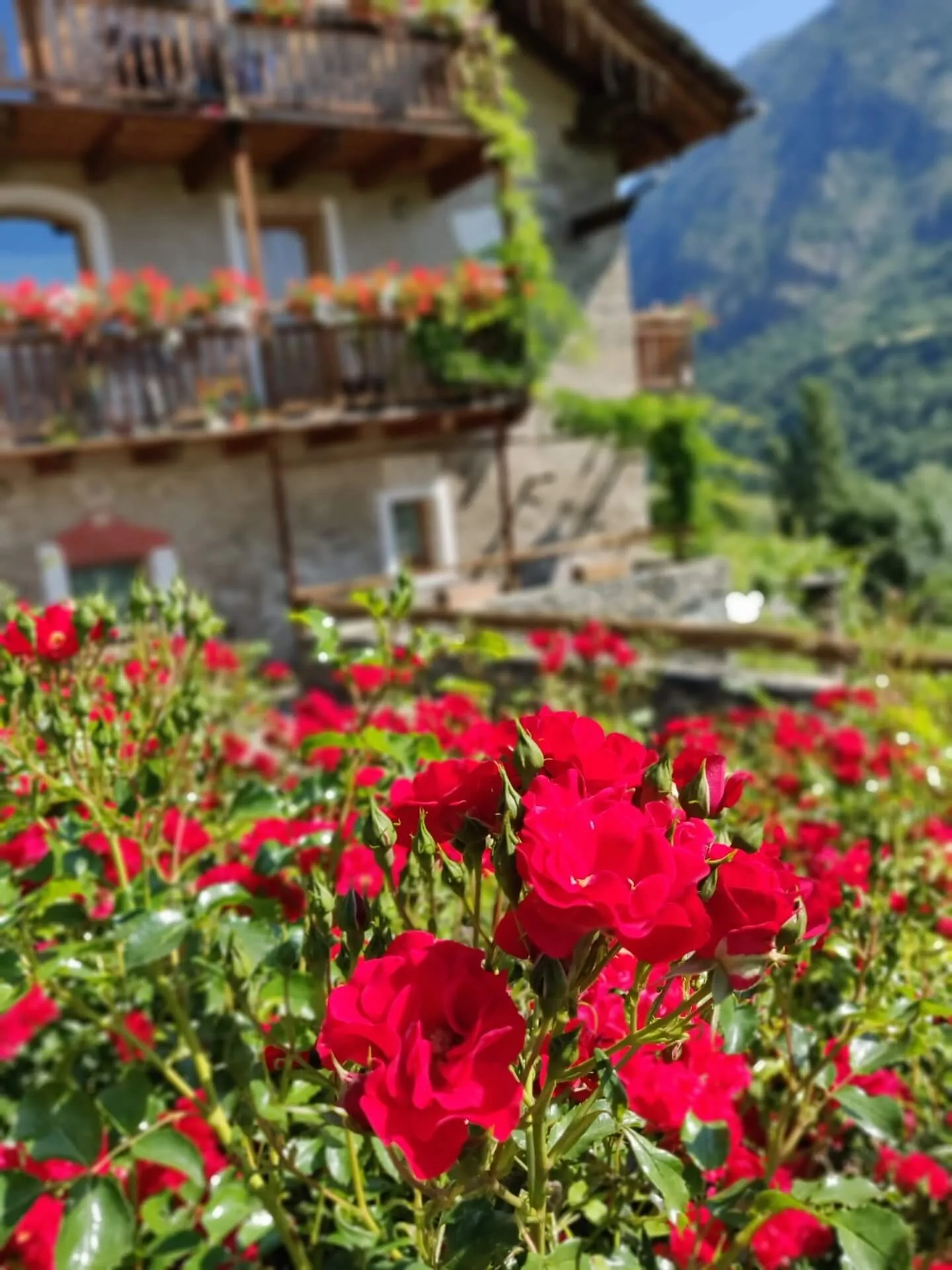 casa vacanze esterno facciata sud rose