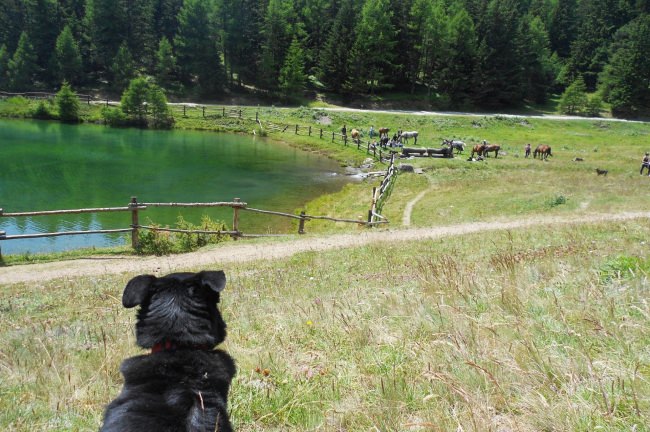 Comba di Vertosan - Saint Nicolas